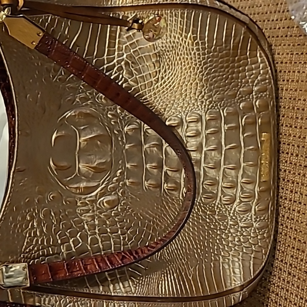 Brahmin bag